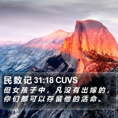 民 数 记 31:18 CUVS Bible Verse Image