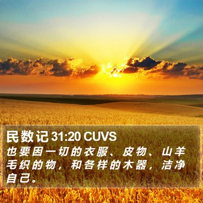 民 数 记 31:20 CUVS Bible Verse Image