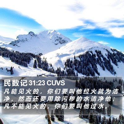 民 数 记 31:23 CUVS Bible Verse Image