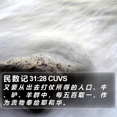 民 数 记 31:28 CUVS Bible Verse Image