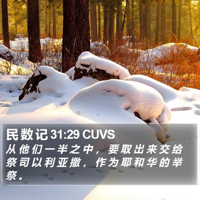 民 数 记 31:29 CUVS Bible Verse Image