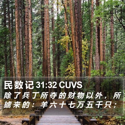 民 数 记 31:32 CUVS Bible Verse Image