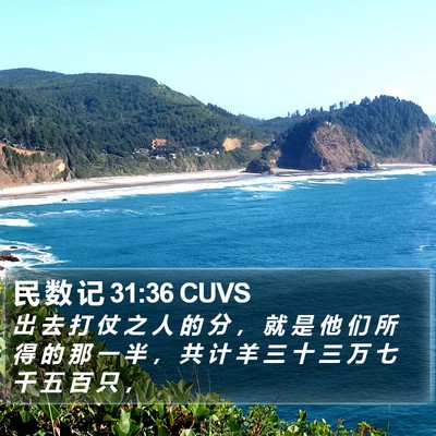 民 数 记 31:36 CUVS Bible Verse Image