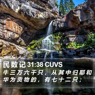 民 数 记 31:38 CUVS Bible Verse Image