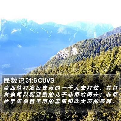 民 数 记 31:6 CUVS Bible Verse Image