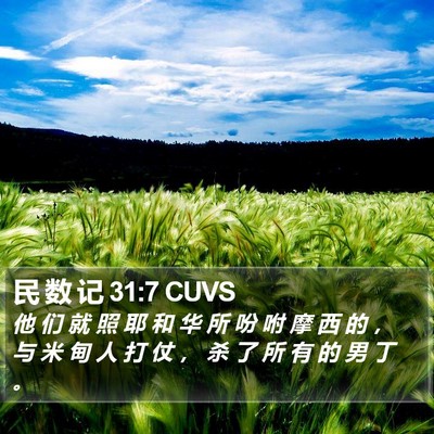 民 数 记 31:7 CUVS Bible Verse Image