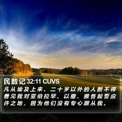 民 数 记 32:11 CUVS Bible Verse Image