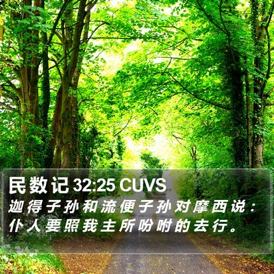 民 数 记 32:25 CUVS Bible Verse Image