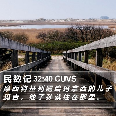 民 数 记 32:40 CUVS Bible Verse Image
