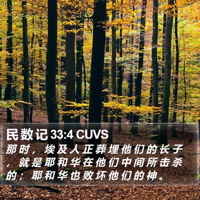 民 数 记 33:4 CUVS Bible Verse Image