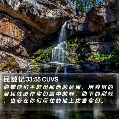 民 数 记 33:55 CUVS Bible Verse Image