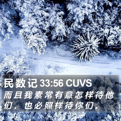 民 数 记 33:56 CUVS Bible Verse Image