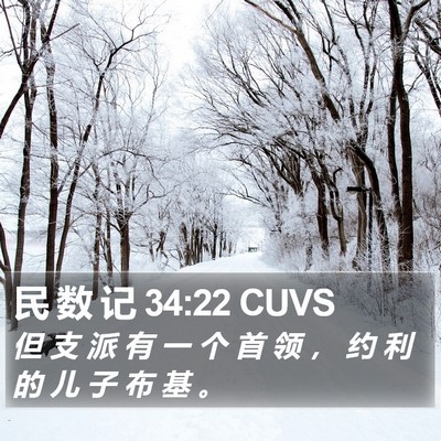 民 数 记 34:22 CUVS Bible Verse Image