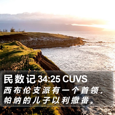 民 数 记 34:25 CUVS Bible Verse Image