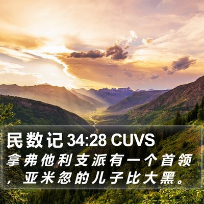 民 数 记 34:28 CUVS Bible Verse Image
