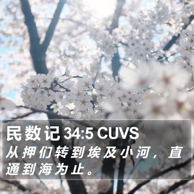民 数 记 34:5 CUVS Bible Verse Image