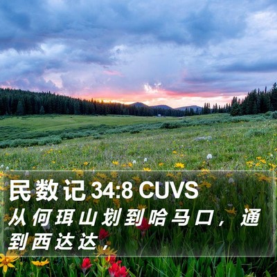 民 数 记 34:8 CUVS Bible Verse Image