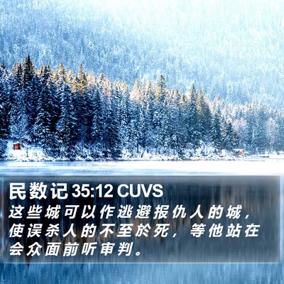 民 数 记 35:12 CUVS Bible Verse Image
