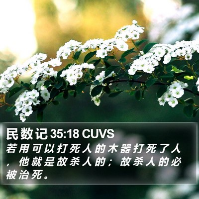 民 数 记 35:18 CUVS Bible Verse Image
