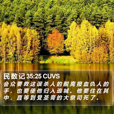 民 数 记 35:25 CUVS Bible Verse Image