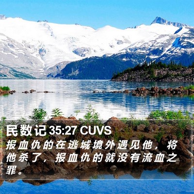 民 数 记 35:27 CUVS Bible Verse Image