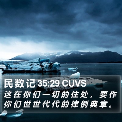 民 数 记 35:29 CUVS Bible Verse Image