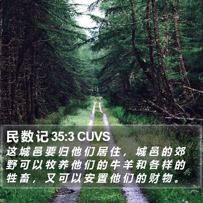 民 数 记 35:3 CUVS Bible Verse Image