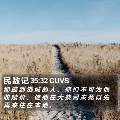 民 数 记 35:32 CUVS Bible Verse Image