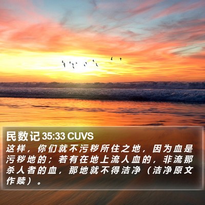 民 数 记 35:33 CUVS Bible Verse Image