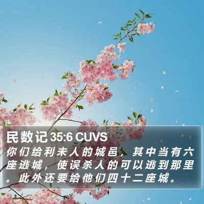 民 数 记 35:6 CUVS Bible Verse Image