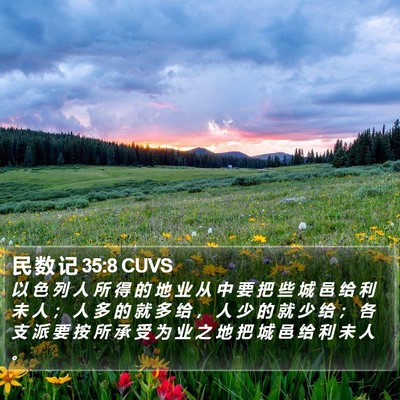 民 数 记 35:8 CUVS Bible Verse Image