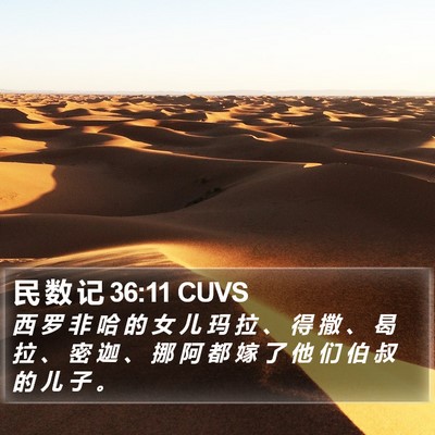 民 数 记 36:11 CUVS Bible Verse Image