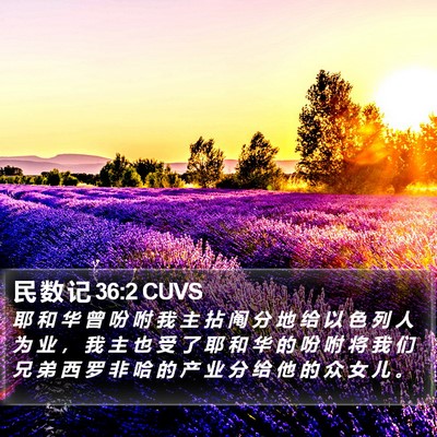 民 数 记 36:2 CUVS Bible Verse Image