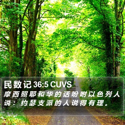民 数 记 36:5 CUVS Bible Verse Image