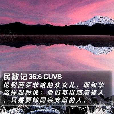 民 数 记 36:6 CUVS Bible Verse Image
