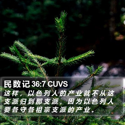 民 数 记 36:7 CUVS Bible Verse Image
