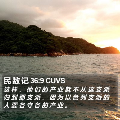 民 数 记 36:9 CUVS Bible Verse Image