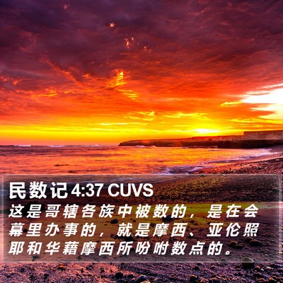 民 数 记 4:37 CUVS Bible Verse Image
