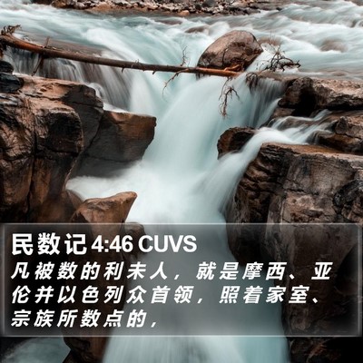 民 数 记 4:46 CUVS Bible Verse Image