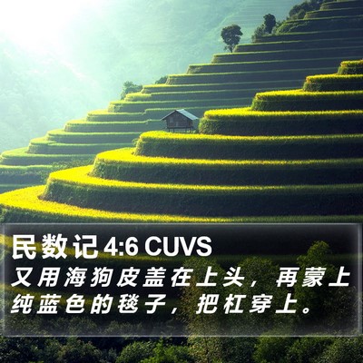 民 数 记 4:6 CUVS Bible Verse Image