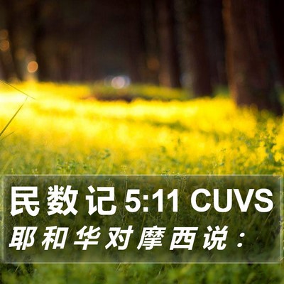 民 数 记 5:11 CUVS Bible Verse Image