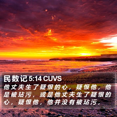 民 数 记 5:14 CUVS Bible Verse Image