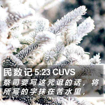 民 数 记 5:23 CUVS Bible Verse Image