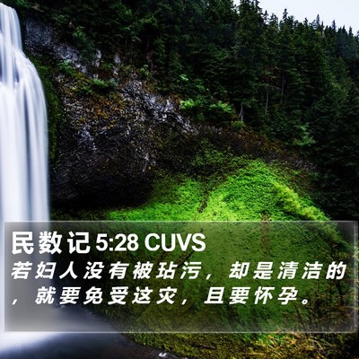 民 数 记 5:28 CUVS Bible Verse Image