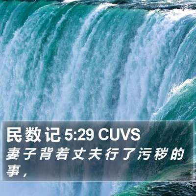 民 数 记 5:29 CUVS Bible Verse Image