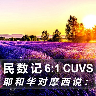 民 数 记 6:1 CUVS Bible Verse Image