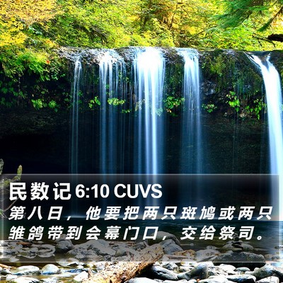 民 数 记 6:10 CUVS Bible Verse Image