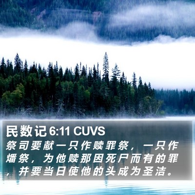 民 数 记 6:11 CUVS Bible Verse Image