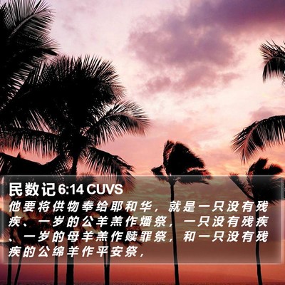 民 数 记 6:14 CUVS Bible Verse Image