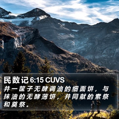 民 数 记 6:15 CUVS Bible Verse Image